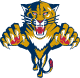 Florida Panthers