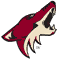 Phoenix Coyotes